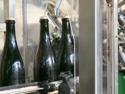 MS Champagne bottles on production line / Wiltingen, Saar-Valley, Rhineland-Palatinate, Germany Stock Footage