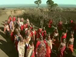 Multiple - Two groups of Maasai walk in step past one another during a procession in Africa / Kenya Stock Footage