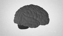 Science Happens! With Carl Zimmer Instructional Video