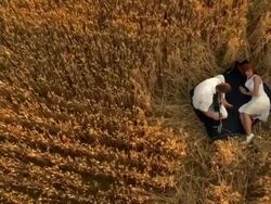 CRANE: Couple In Wheat Stock Footage