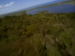 MS Aerial tracking over forest to lake, South Africa Stock Footage