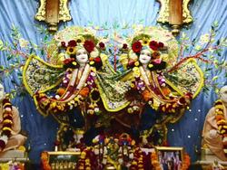 WS View of idols of Lord Krishna and Radha in Iskcon Temple at Vrindavan / Mathura, Uttar Pradesh, India Stock Footage