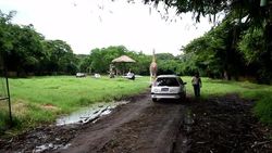 CLEAN : A small African savannah in Guatemala News Clip