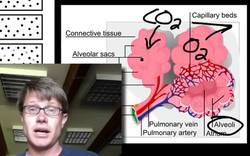 Transport Across Cell Membranes Instructional Video