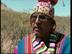 Two condors released into the wild in traditional ceremony News Clip