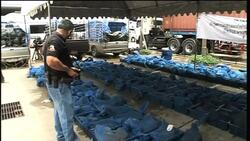 Customs officials seize massive haul of live lizards Instructional Video