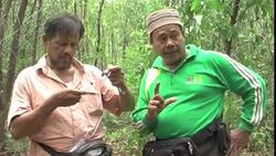 CLEAN: Greenpeace blames paper company for rare tiger's death News Clip