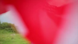 Happy American citizen woman Stock Footage