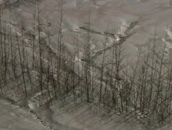 MS desert / Djibouti ( Abe Lake), Djibouti Stock Footage