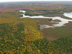 WS ARIEAL DS View of Wooded area with autumn color at islands / Maine, United States Stock Footage