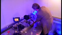 Revealing Nature's Mathematical Formula For Survival Instructional Video