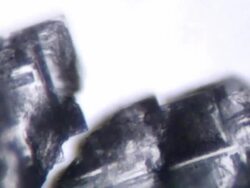 Salt crystallizing Stock Footage