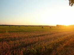 Hay Bales At Sunset Stock Footage