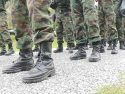 Navy Soldiers Training /HD & PAL Stock Footage