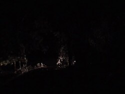 Winter Night Drive Stock Footage