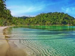 Paradise beach. Stock Footage