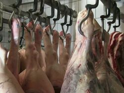 MS Shot of cold storage house at butchery / Freudenburg, Rhineland Palatinate, Germany Stock Footage