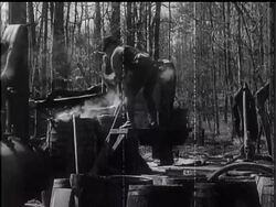 Illicit Still Gang Is Dealt With By American Police. News Clip