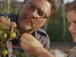 MS Farmer teaching young volunteer / Chicago, IL, United States Stock Footage