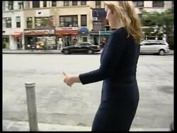 Stolen Mexican masterpiece discovered on street News Clip