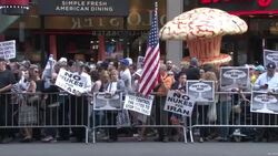 Anti-Iran 'No Nukes For Iran' Rally Protests NYC 2015 Stock Footage