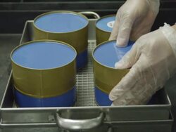 ECU gloved hand of worker affixing label on freshly filled caviar tins to seal them, RED R3D 4K,4KMSTR Stock Footage