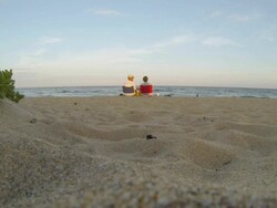 HD: Couple Sitting On Florida Beach Stock Footage