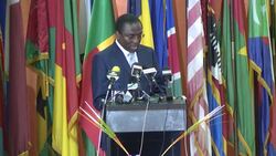 WHO Director-General Chan calls for her organisation to be relevant and credible in Africa News Clip