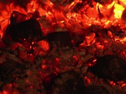 FIREWOOD Stock Footage