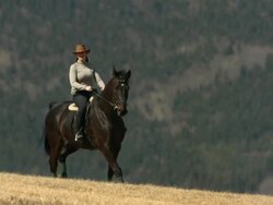 HD SLOW MOTION: Country Woman Enjoy Horseback Riding Stock Footage
