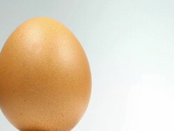 Organic Egg - Close up Stock Footage