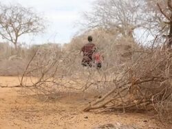 Children playing in the savanna Stock Footage