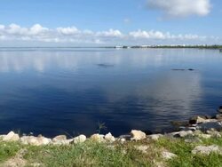 Scenic View of the Indian River Lagoon, Florida Stock Footage