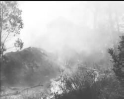 COUNTING THE COST News Clip