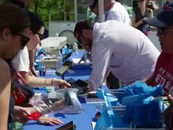 Hillary Clinton Holds Campaign Kick-Off Rally In NYC Stock Footage