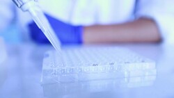 Scientist transfer mix small volume liquids within 96 well dishes, Slow motion Stock Footage