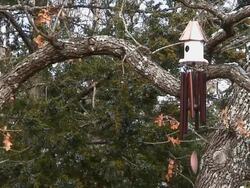 Birdhouse Wind Chime Stock Footage