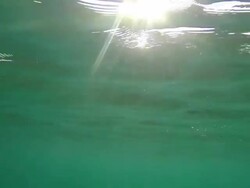 Underwater view Stock Footage