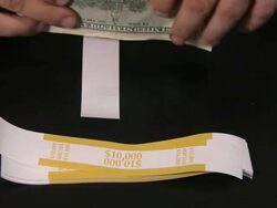 Lots of cash money. American dollars. US Paper Currency. Stock Footage