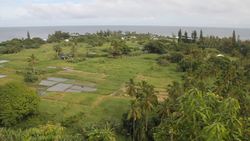 Sucesion Biologica Instructional Video