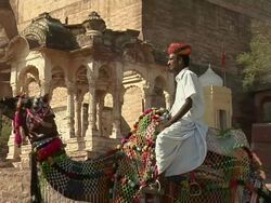 MS, Camel rider at Mehrangarh Fort, Jodhpur, Rajasthan, India Stock Footage