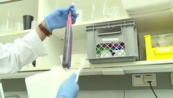 CLEAN : Austrian lab on front line of fight against Zika virus News Clip