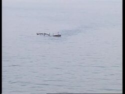 US Navy on oil embargo patrol News Clip