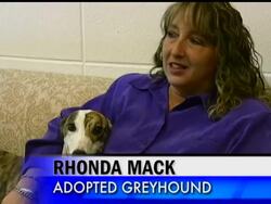 At least seven dog racing tracks from the midwest to New England closed in December, leaving hundreds of greyhounds without homes. Now the animals caretakers fear they won''t find owners up to the task of adopting new pets. Instructional Video