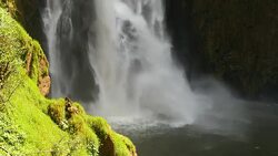 Falling Water from High Cliff Waterfalls Stock Footage