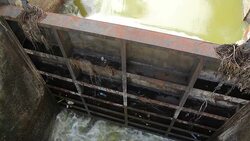 Flowing water at floodgate Stock Footage