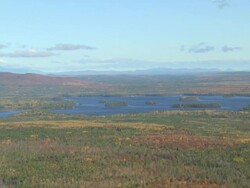 WS AERIAL PAN ZI View of wooded area with autumn color at Howland / Maine, United States Stock Footage