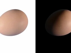 ALPHA: Isolated egg Stock Footage