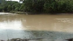 Rio Villano in the Ecuadorian Amazon Stock Footage