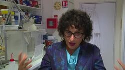 DNA Shows Early Spread of Cats in Human World News Clip